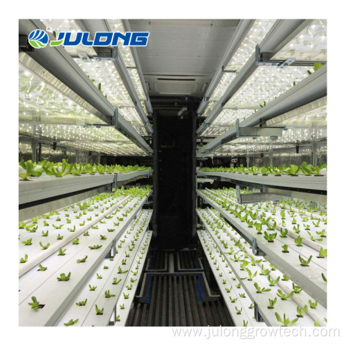 Smart Farm Vertical Farming Hydroponic Container Greenhouse